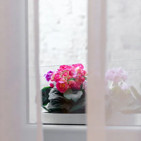 Aurum Templi Apartmán Split