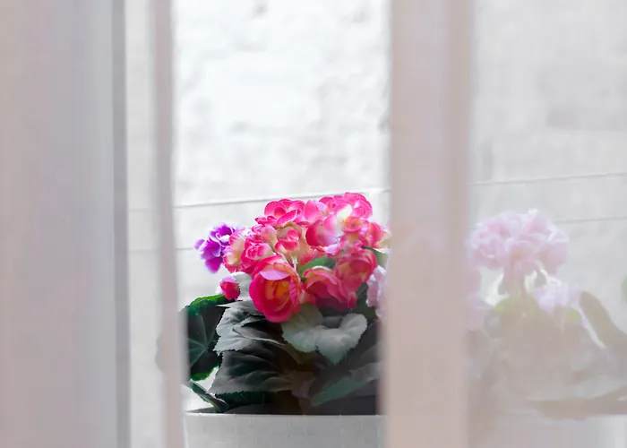 Aurum Templi アパート スプリト